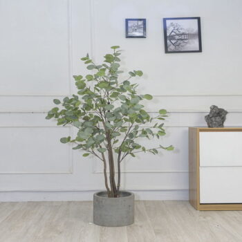 Cây Kim Tiền Lá Tròn Giả Trang Trí Cửa Hàng, Công Ty, Căn Hộ [90cm -1m2 – 1m5]