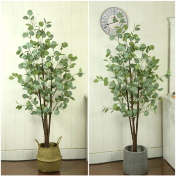 Cây Kim Tiền Lá Tròn Giả Trang Trí Cửa Hàng, Công Ty, Căn Hộ [90cm -1m2 – 1m5]