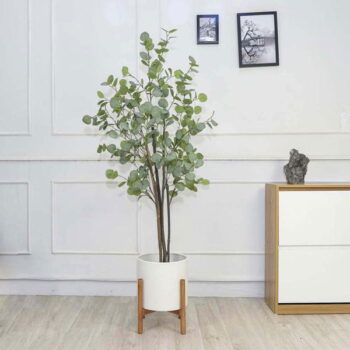 Cây Kim Tiền Lá Tròn Giả Trang Trí Cửa Hàng, Công Ty, Căn Hộ [90cm -1m2 – 1m5]