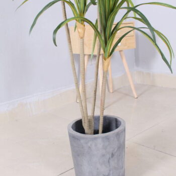 Cây lá kim giả trang trí cửa hàng, công ty, căn hộ [1m25]