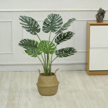 Cây Lá Xẻ Giả Trang Trí Cửa Hàng, Công Ty, Căn Hộ [65cm – 90cm – 1m2]