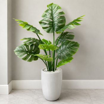 Cây trầu bà giả Monstera lá lớn cho nội thất hiện đại
