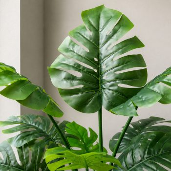 Cây trầu bà giả Monstera lá lớn cho nội thất hiện đại