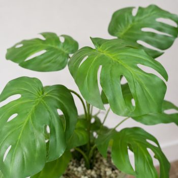 Chậu cây trầu bà giả Monstera 95cm trang trí nội thất
