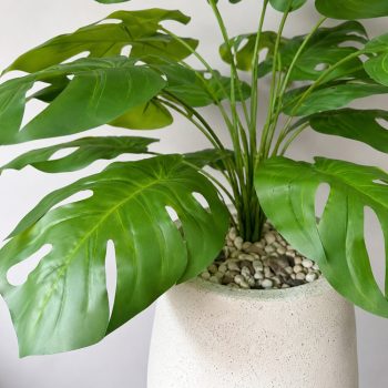 Chậu cây trầu bà giả Monstera 95cm trang trí nội thất