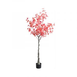 cây đô la bạc lá đỏ giả