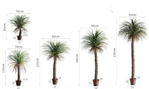 cây cọ nhiệt đới giả