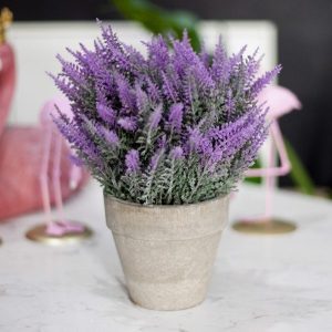 lavender giả