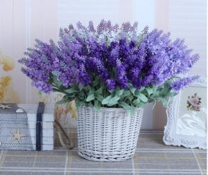 lavender giả