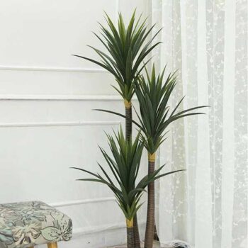 Cây phát tài núi giả dùng để trang trí vừa sang trọng vừa hiện đại [1m5 – 1m65 – 1m7]