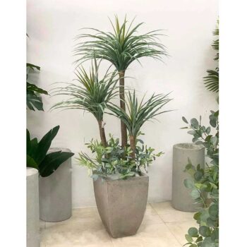 Cây phát tài núi giả dùng để trang trí vừa sang trọng vừa hiện đại [1m5 – 1m65 – 1m7]