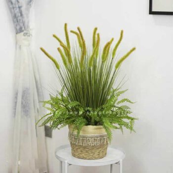 Chậu cỏ đuôi chồn giả giúp trang trí tạo nên sự độc đáo [40cm – 60cm – 80cm]