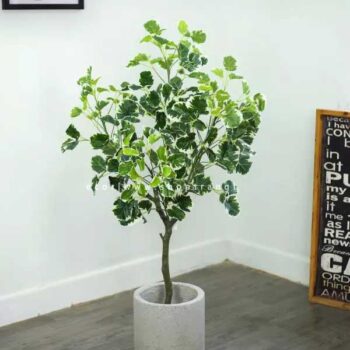 Cây cẩm thạch giả trang trí cửa hàng, công ty, căn hộ [1m – 1m2 – 1m4 – 1m6 – 1m8]