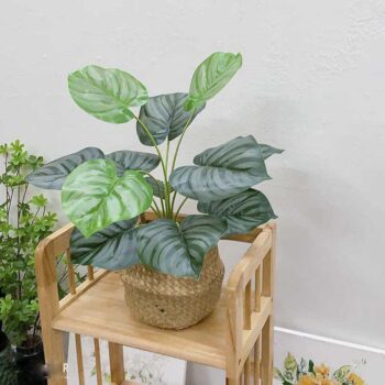 Cây lá táo giả để bàn trưng góc nhà, shop, cty đều đẹp [45cm – 60cm – 85cm]