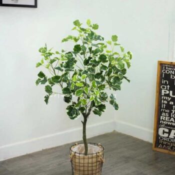 Cây cẩm thạch giả trang trí cửa hàng, công ty, căn hộ [1m – 1m2 – 1m4 – 1m6 – 1m8]