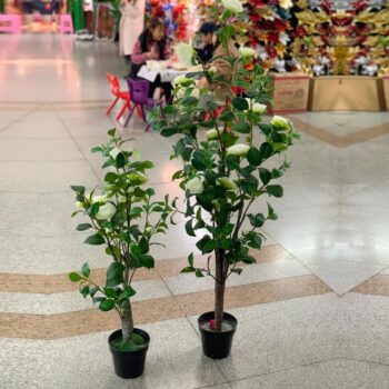 Cây bạch trà giả trang trí nhà cửa, shop, cty đều đẹp [1m -1m4]