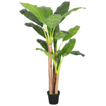 Cây Chuối Cảnh Giả Trang Trí Cửa Hàng, Studio, Tiệm Quán, Văn Phòng, Nhà Cửa – 2m3 – PN-CG119