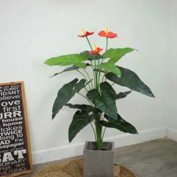 Cây hồng môn giả trang trí kệ bàn, góc nhà cực xinh [45cm – 120cm]