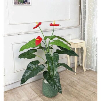 Cây hồng môn giả trang trí kệ bàn, góc nhà cực xinh [45cm – 120cm]