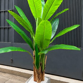 Cây chuối giả cao 1m8 đẹp tự nhiên, trang trí cửa hàng, cafe, căn hộ