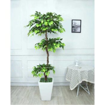 Cây tâm phúc giả trang trí cửa hàng, văn phòng, căn hộ [1m2 – 1m4 – 1m6 – 1m8]