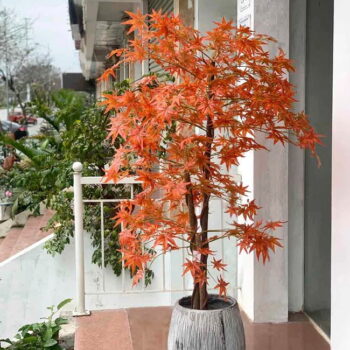 Cây Phong Lá Đỏ Giả Trang Trí Nội & Ngoại Thất – Cao 1m2 – Mã: PN-CG001