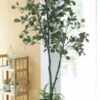Cây Bạch Đàn Giả 2m1 (5)