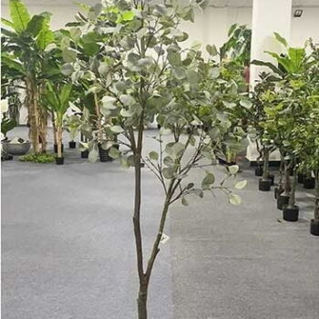 Cây Bạch Đàn Giả Trang Trí Cửa Hàng, Studio, Tiệm Quán, Văn Phòng, Nhà Cửa – 2m1 – PN-CG090