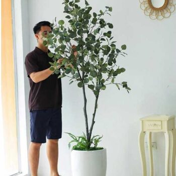 [Combo mix] Cây Bạch Đàn Giả Trang Trí Cửa Hàng, Studio, Tiệm Quán, Văn Phòng, Nhà Cửa – 2m1 – PN-CG094