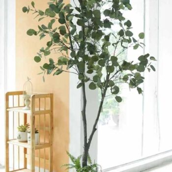 [Combo mix] Cây Bạch Đàn Giả Trang Trí Cửa Hàng, Studio, Tiệm Quán, Văn Phòng, Nhà Cửa – 2m1 – PN-CG094