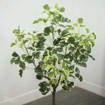 Cây Cẩm Thạch Giả Trang Trí Cửa Hàng, Studio, Tiệm Quán, Văn Phòng, Nhà Cửa – Cao 1m – Mã: PN-CG062