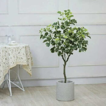 Cây Cẩm Thạch Giả Trang Trí Cửa Hàng, Studio, Tiệm Quán, Văn Phòng, Nhà Cửa – Cao 1m – Mã: PN-CG062