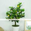 Cây Chanh Mỹ Giả 80cm (3)