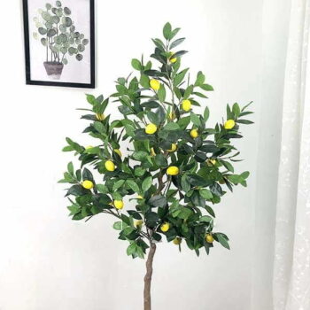 Cây Chanh Vàng Giả Trang Trí Cửa Hàng, Studio, Tiệm Quán, Văn Phòng, Nhà Cửa – Cao 1m6 – Mã: PN-CG059