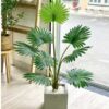 Cây Cọ Giả 1m2-Trang Trí Nội Ngoại Thất-Phạm Nguyễn Decor