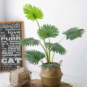 Cây Cọ Giả Trang Trí Cửa Hàng, Studio, Tiệm Quán, Văn Phòng, Nhà Cửa – Cao 1m2 – Mã: PN-CG086