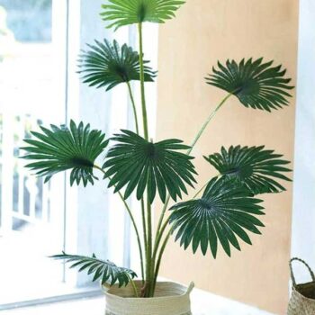 Cây Cọ Giả Trang Trí Cửa Hàng, Studio, Tiệm Quán, Văn Phòng, Nhà Cửa – Cao 1m4 – Mã: PN-CG087