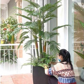 [Combo-mix] Cây Dừa Cảnh Giả Trang Trí Cửa Hàng, Studio, Tiệm Quán, Văn Phòng, Nhà Cửa – 1m8 – PN-CG099