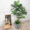 Cây Dừa Giả 1m4-Trang Trí Nội Ngoại Thất-Phạm Nguyễn Decor