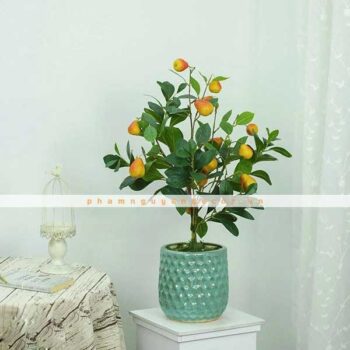 Cây Lê Má Đào Giả Trang Trí Cửa Hàng, Studio, Tiệm Quán, Văn Phòng, Nhà Cửa – Cao 80cm – Mã: PN-CG075