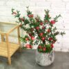 Cây Lựu Giả 90cm -Trang Trí Nội Ngoại Thất-Phạm Nguyễn Decor