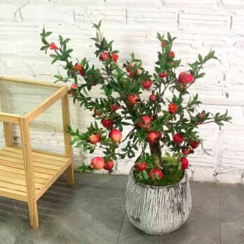 [Combo-mix]Cây Lựu Giả Trang Trí Cửa Hàng, Studio, Tiệm Quán, Văn Phòng, Nhà Cửa – 90cm – PN-CG097