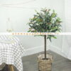 Cây Ô Liu Giả - Trang Trí Nội Ngoại Thất - Phạm Nguyễn Decor