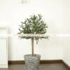 Cây Ô Liu Giả 90cm Trang Trí Nội Ngoại Thất (4)