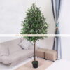 Cây Ô Liu Giả 1m8 - Trang Trí Nội Ngoại Thất - Phạm Nguyễn Decor