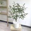 Cây Ô liu giả 85cm trang trí nhà cửa, cửa hàng, studio, shop, văn phòng (8)