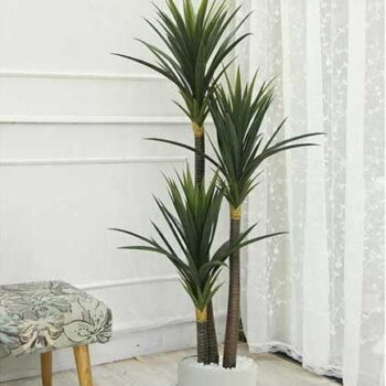 Cây Phát Tài Núi Giả Trang Trí Cửa Hàng, Studio, Tiệm Quán, Văn Phòng, Nhà Cửa – Cao 1m5 – Mã: PN-CG058