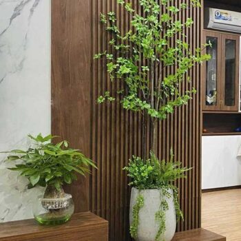 [Combo – mix] Cây Thạch Nam Giả Trang Trí Cửa Hàng, Studio, Tiệm Quán, Văn Phòng, Nhà Cửa – 1m8 – PN-CG069