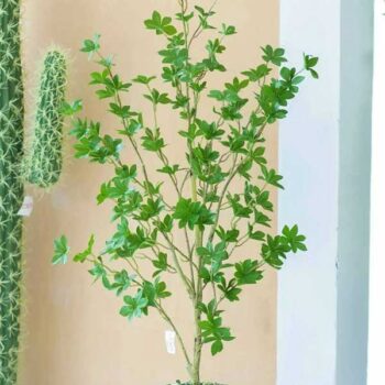 Cây Thạch Nam Nhật Bản Giả Trang Trí Cửa Hàng, Studio, Tiệm Quán, Văn Phòng, Nhà Cửa – 1m25 – PN-CG089