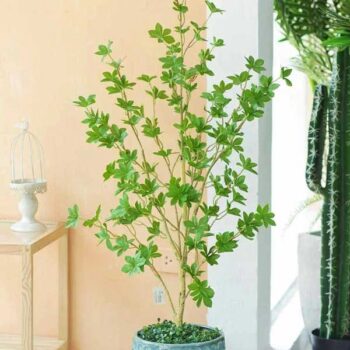 Cây Thạch Nam Nhật Bản Giả Trang Trí Cửa Hàng, Studio, Tiệm Quán, Văn Phòng, Nhà Cửa – 1m25 – PN-CG089